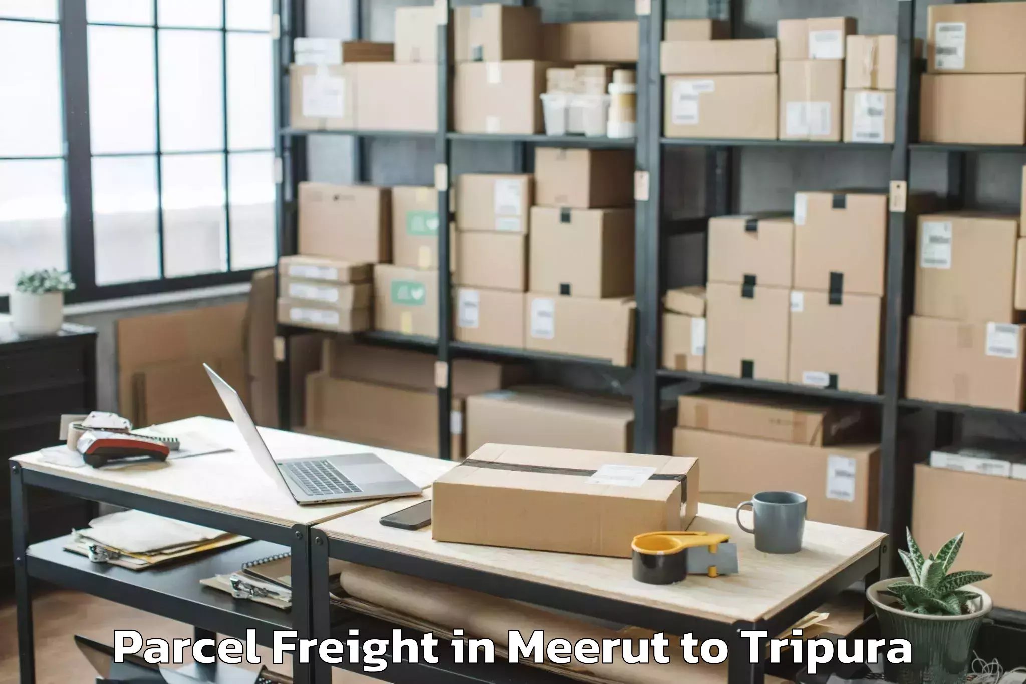 Expert Meerut to Tripura University Agartala Parcel Freight